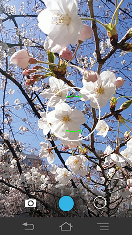 フォーカスしたい箇所をタッチしてシャッターを押すだけ