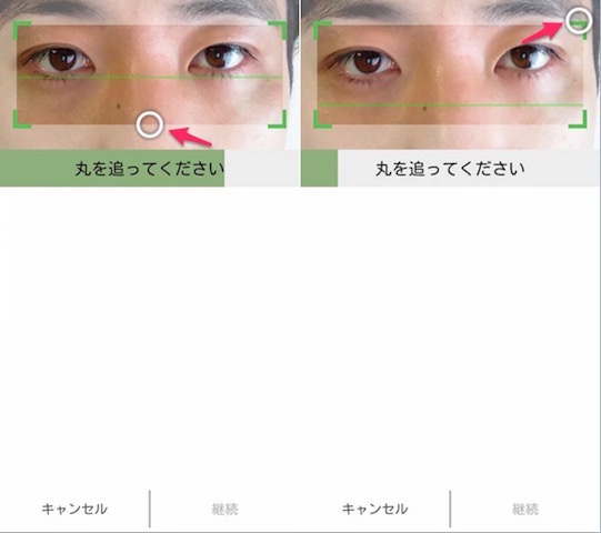 白い丸を数回目で追うと登録される
