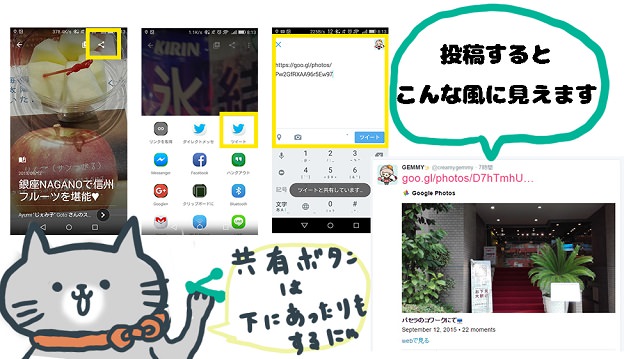 Googleフォトアプリのストーリー共有方法
