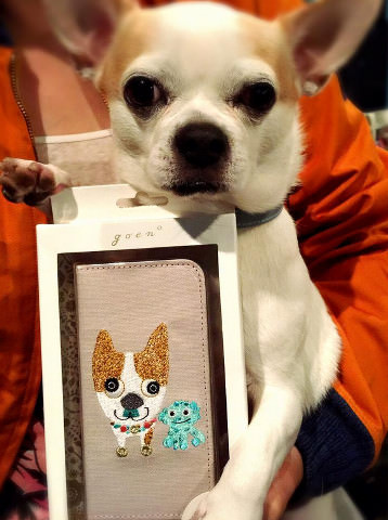 森本さんの愛犬THE buくん(森本さんFacebookより引用)