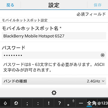 アクセスポイント名やパスワード以外にも設定可能が項目がある