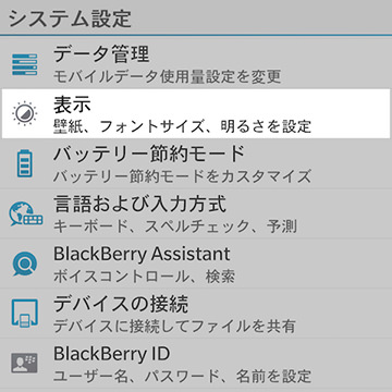 システム設定画面の中段あたりにある【表示】の項目