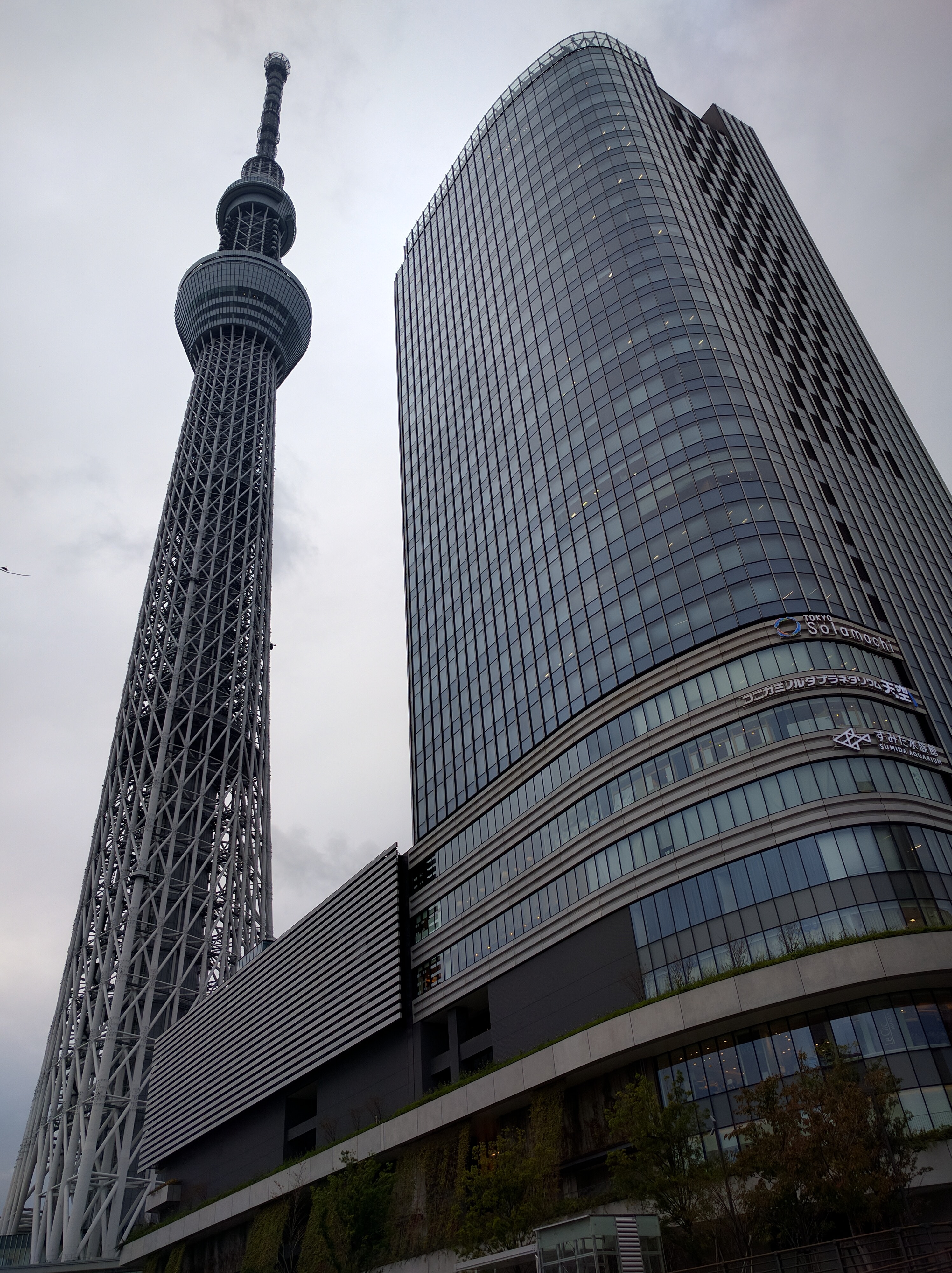 曇り空の屋外で撮影