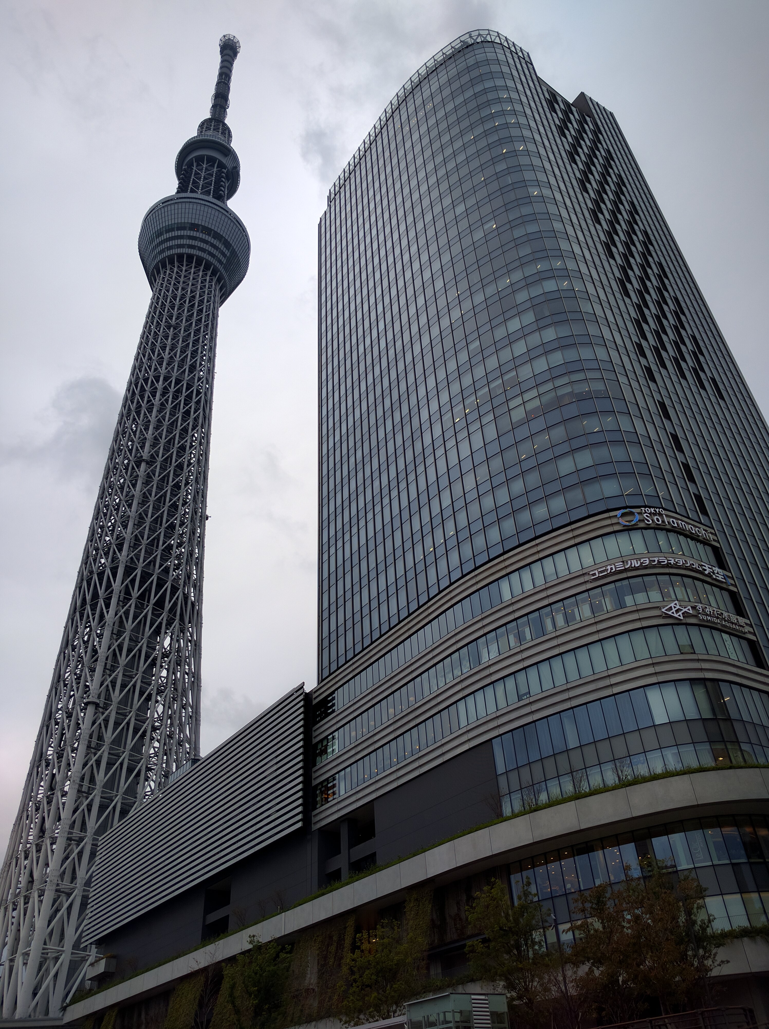 曇り空の屋外で撮影