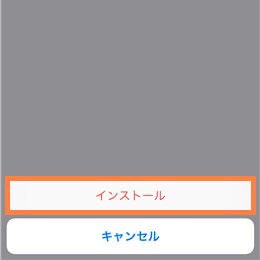 警告画面:インストールをタップ