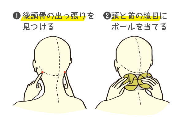 頭と首の境目にボールを当てる