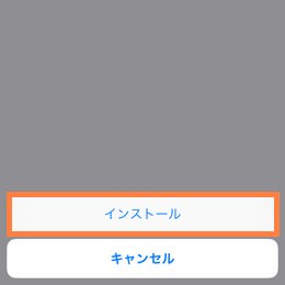 警告画面、順次インストール