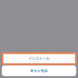 警告画面、順次確認してインストール