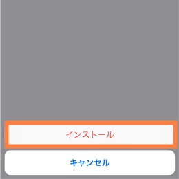 警告画面、確認してインストール
