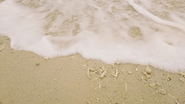 沖縄の海