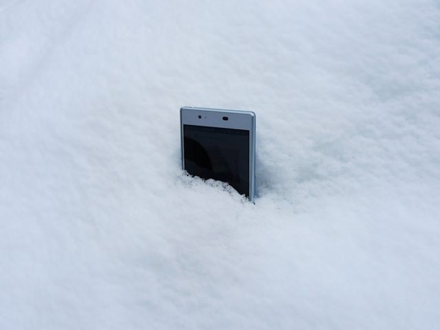今の時期、雪に落としてしまった......なんて場合でも