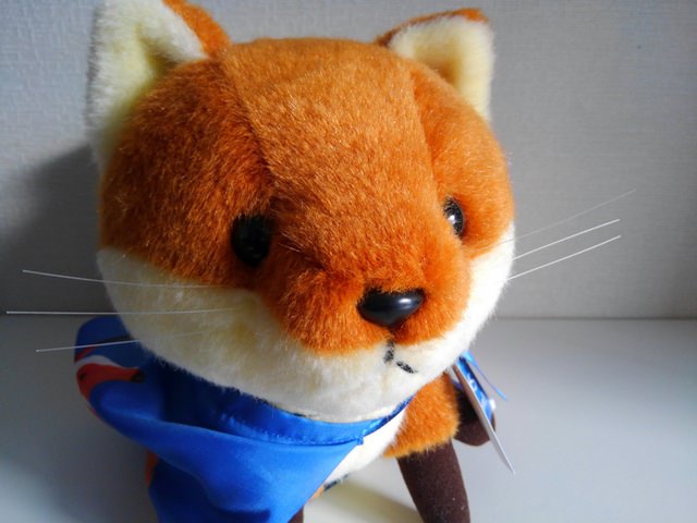 通常撮影した写真