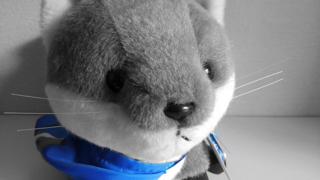 「部分着色」を用いると特定の色だけを残してグレースケールにすることも