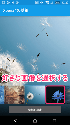 好きな画像を選び、「壁紙を設定」をタップ