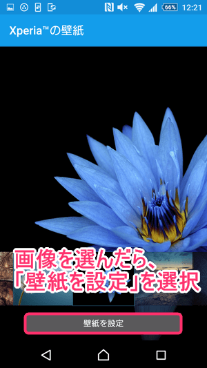 好きな画像を選び、「壁紙を設定」をタップ