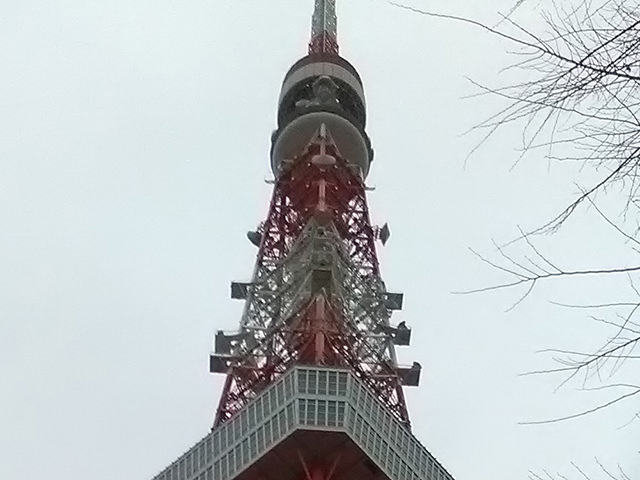 Z330 で撮影した写真の一部を切り出したもの
