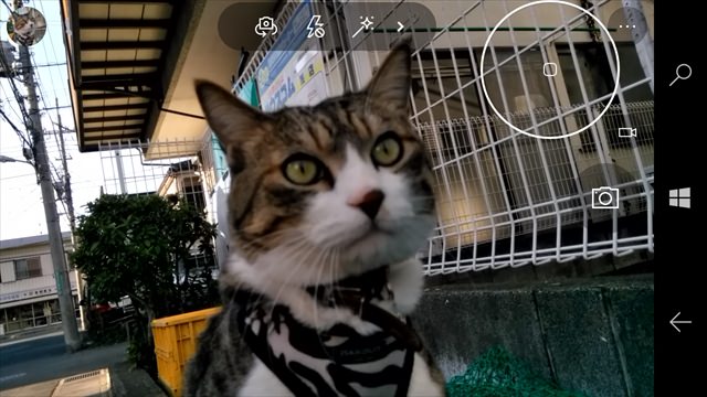 NuAns NEO レビュー