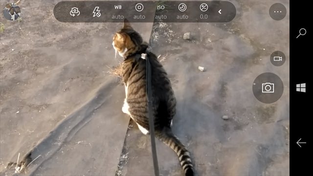 NuAns NEO レビュー