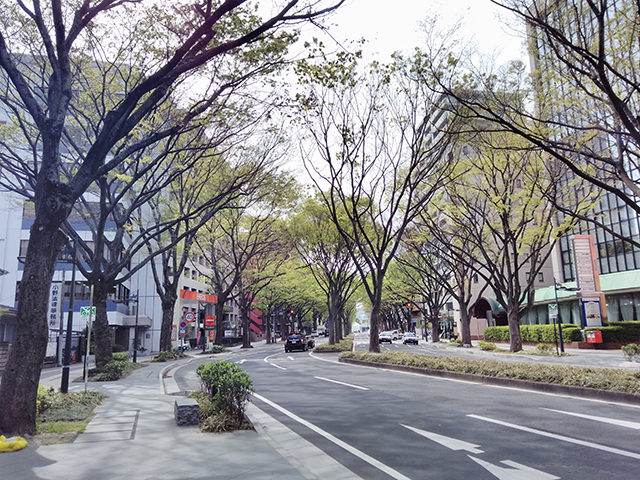 昼間に撮影した街の風景(HDRオン)