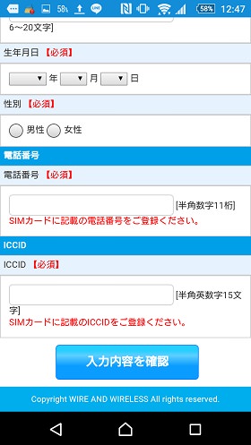 BIC SIM 利用登録 入力画面