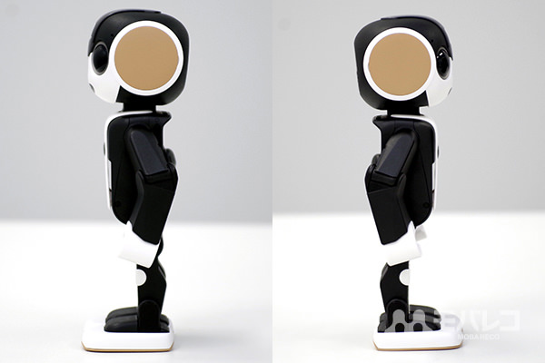 RoBoHoNの側面
