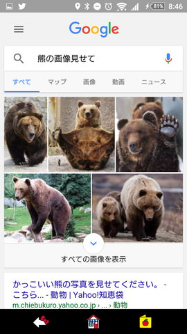 「OK,Google!」の設定:「熊の画像見せて」「子猫の動画見せて」