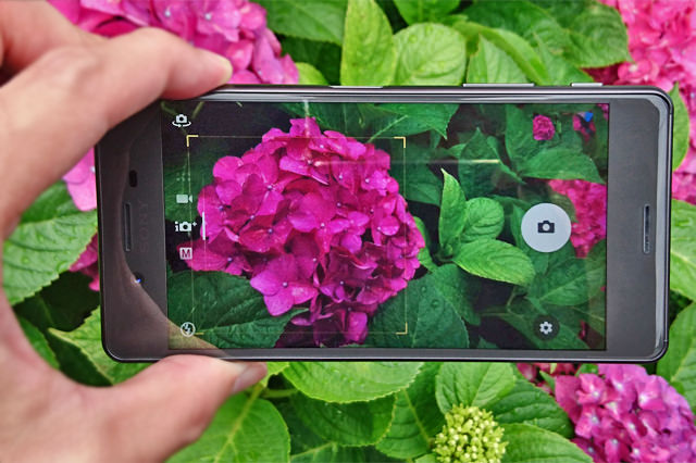 Xperia X Performance撮りたいと思ったらすぐに起動、ピントがすぐにあって、次々と気持ちよく撮影できます