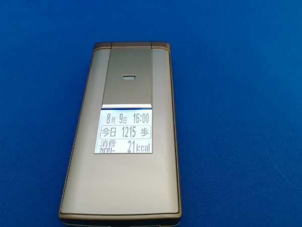 歩数も表示することができる