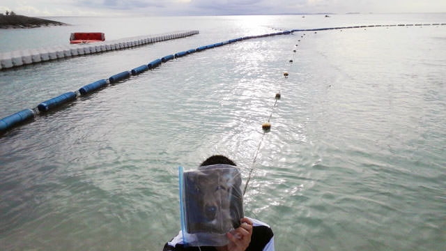 沖縄の海