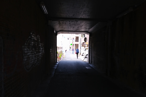 トンネル等暗い所は苦手な模様