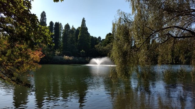 紅葉と湖