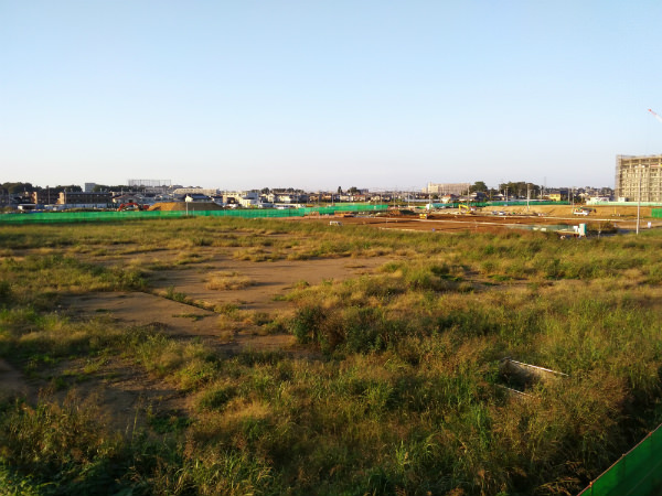 IDOL 4 カメラ作例:夕焼けの広場を撮影