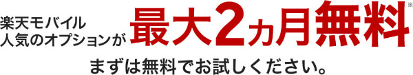 オプションサービス最大2カ月無料
