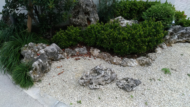 庭園風景