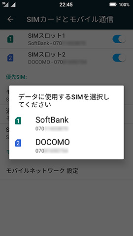 モバイルデータは2枚の中からいずれかを選ぶ