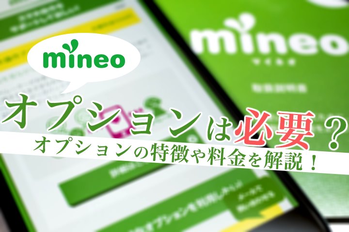 mineo(マイネオ)にオプションは必要?マイネオのオプションの特徴や料金を解説!