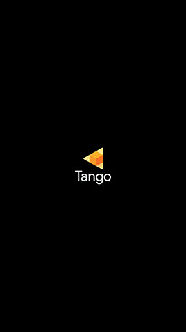 Tangoアプリ起動直後
