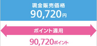 新規で利用できるポイント数の例