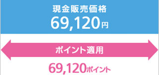 機種変更で利用できるポイント数の例