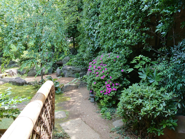 Xperia XZs カメラ作例:風景 植物