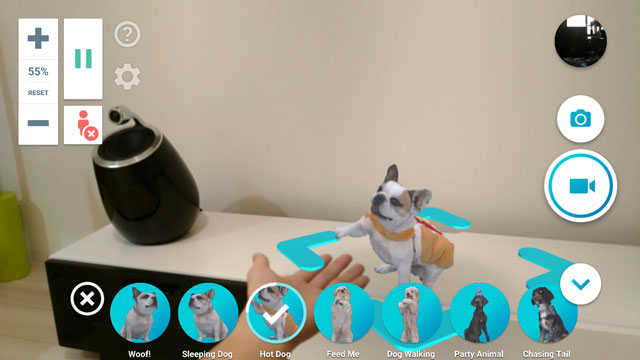 可愛い犬に癒される