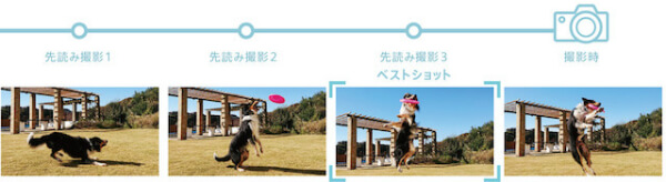 ベストショットを逃さない