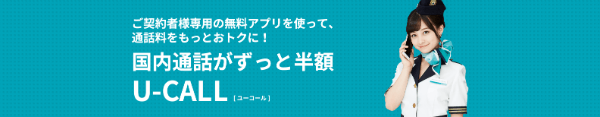 データ通信だけじゃない!オプションを使えば通話もお得