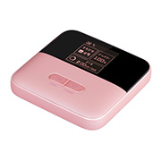 Pocket WiFi 601ZT