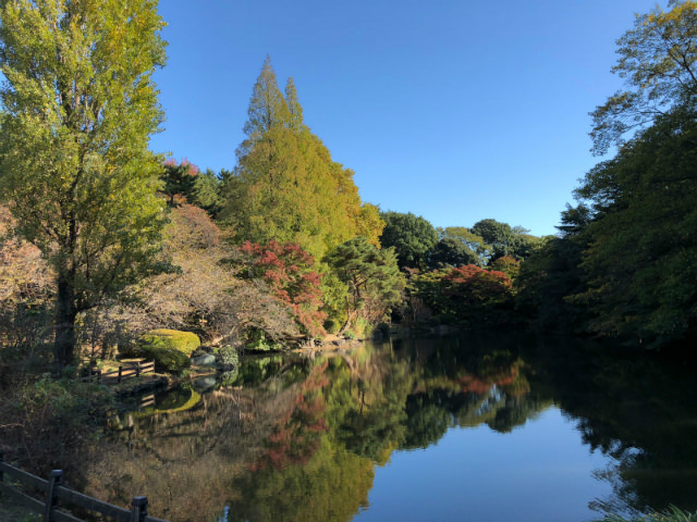 iPhone X カメラ作例:新宿御苑