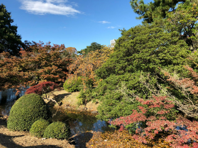 iPhone X カメラ作例:新宿御苑