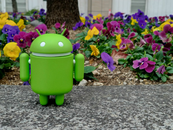 ZenFone 4 Pro カメラ作例:接写