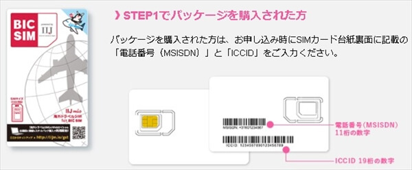 ネット上で「電話番号(MSISDN)」と「ICCID」を入力