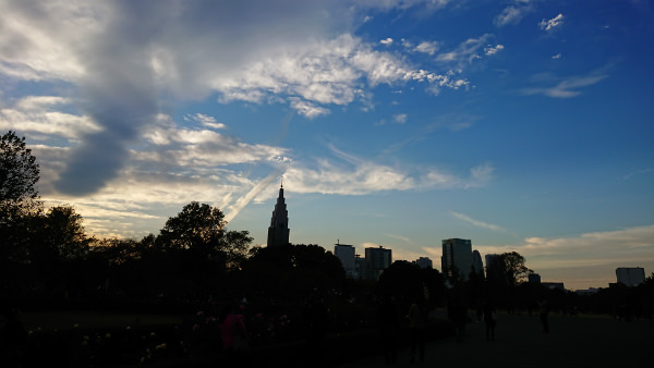 逆光