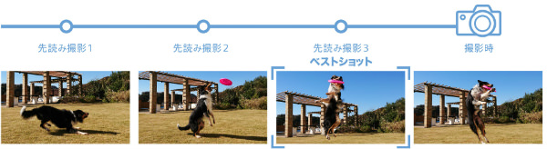 動きのある被写体の撮影に最適